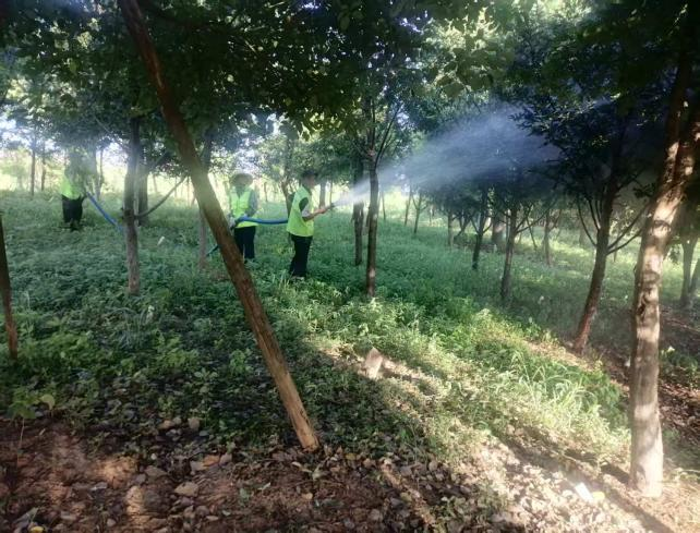 41ab63e41b0a61cc1e44f7fcdbf524ff.png 圖片2.png